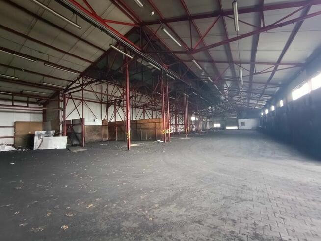 Lokal użytkowy Kielce Czarnów