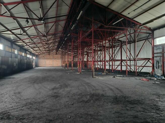 Lokal użytkowy Kielce Czarnów