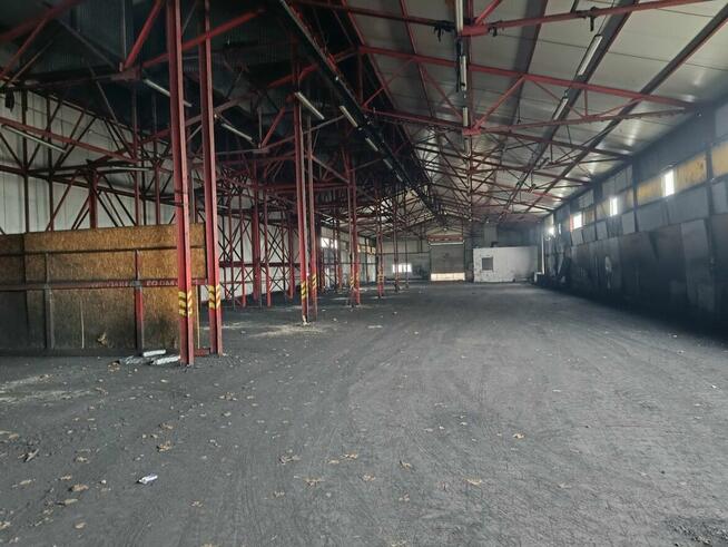 Lokal użytkowy Kielce Czarnów