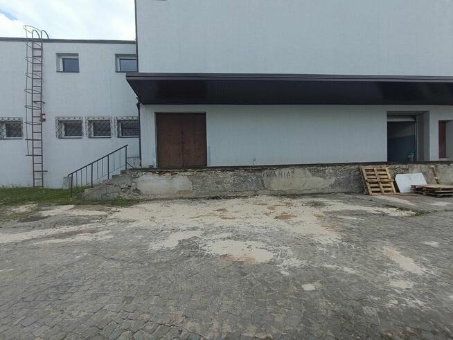 Lokal użytkowy Kielce Czarnów, Oskara Kolberga