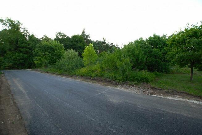 Działka rolna Kuby-Młyny gm. Morawica