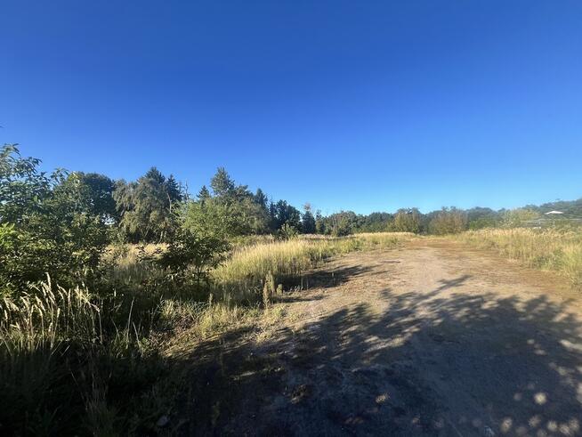 Działka Komercyjna w Sierakowie