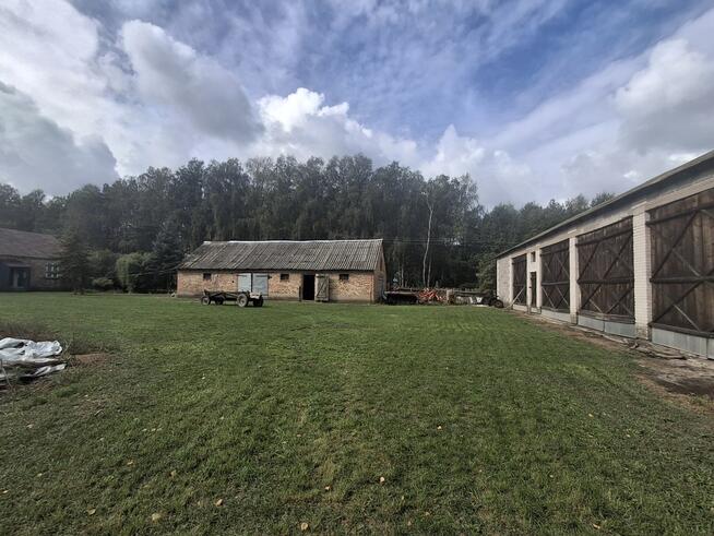 Siedlisko/ Nowy Ratyniec/ Sokołów