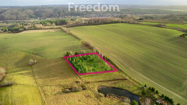 Działka z WZ pod siedlisko z kawałkiem lasu !