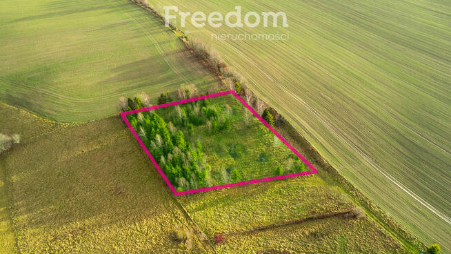 Działka z WZ pod siedlisko z kawałkiem lasu !