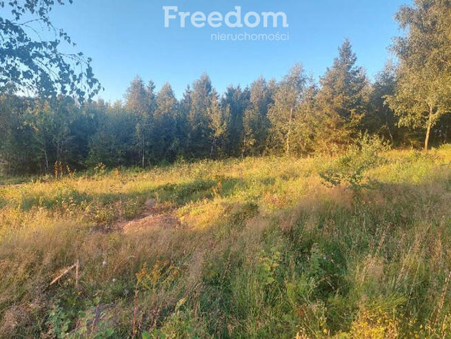 Działka z WZ pod siedlisko z kawałkiem lasu !