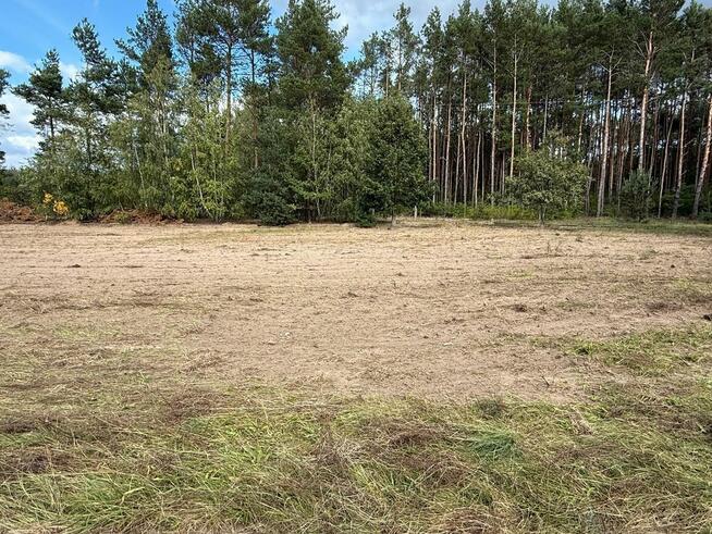 Duża działka pod zabudowę przy lesie