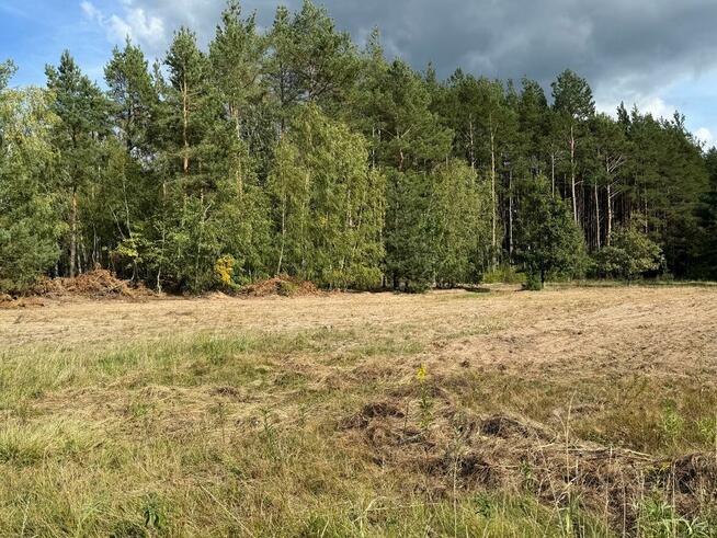 Duża działka pod zabudowę przy lesie