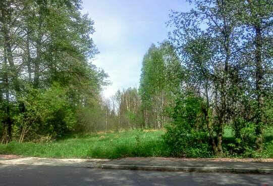 Bajeczna dzialeczka przy Kampinosie