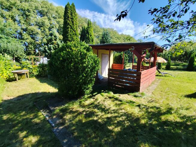 Działka ROD ul. Lipowa za stadionem