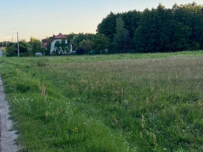 Okazja, Działka Mazewo Dworskie B z dużym potencjałem