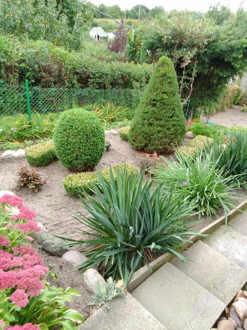 Działka rekreacyjna ROD