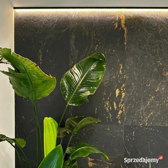 Fornir Kamienny Łupek Black Gold tapeta 2MM 122x61x0,2 cm