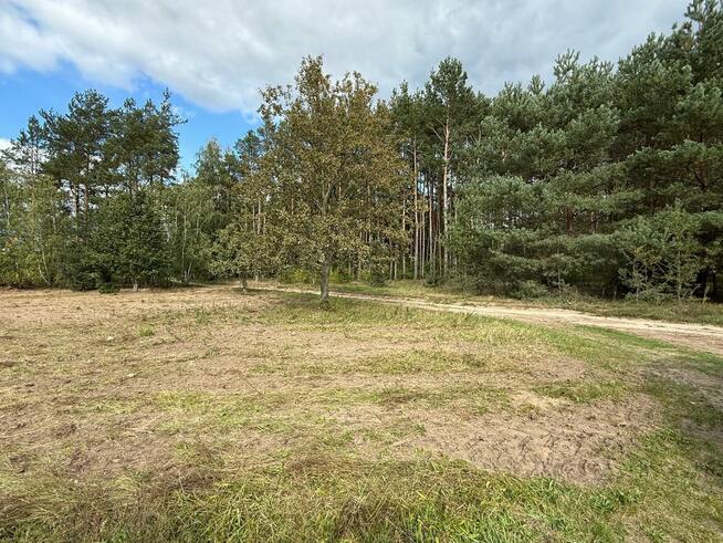 Duża działka pod zabudowę przy lesie