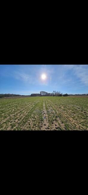 Sprzedam działkę z WZ