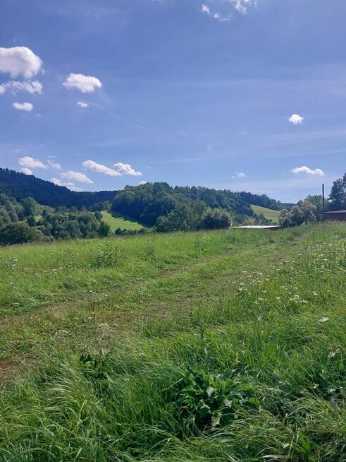 Działka rolno-rekreacyjna 1,59 ha – Nowosiółki, gmina Baligr