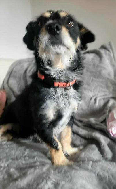 Marcelek po śmierci opiekuna błaga o nowy Dom