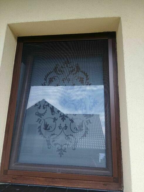 Rolety, Plisy, Moskitiery - Darmowa wycena