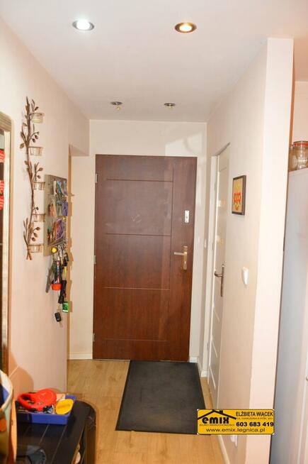 3 pokojowe mieszkanie, po remoncie, 7 km od Złotoryi