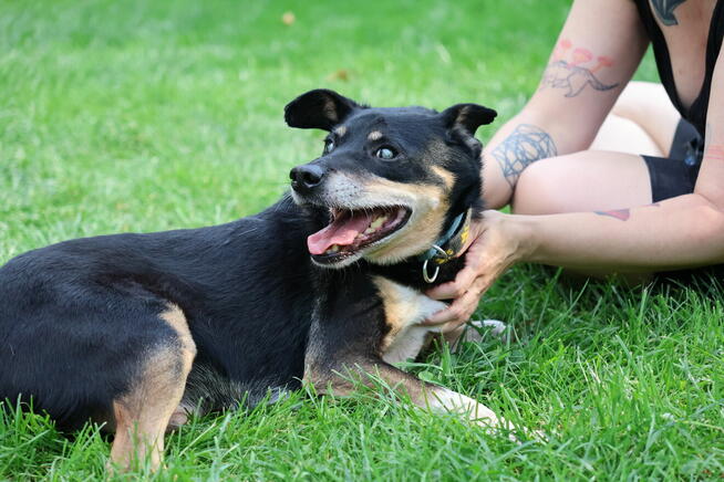 niewidomy Jureczek szuka domku