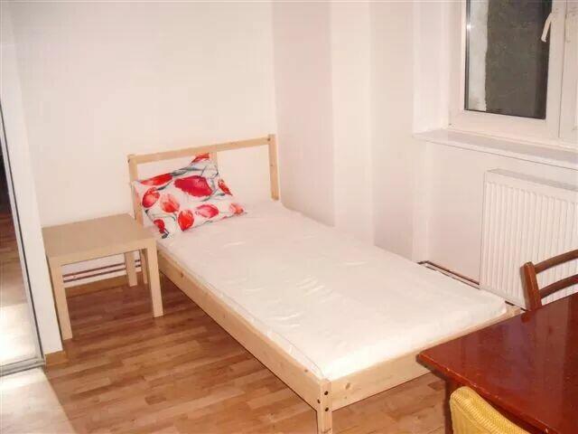 pokój w zielonej dzielnicy Wrocławia. Blisko wielu uczelni