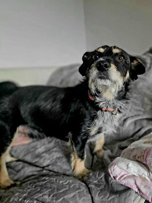 Marcelek po śmierci opiekuna błaga o nowy Dom