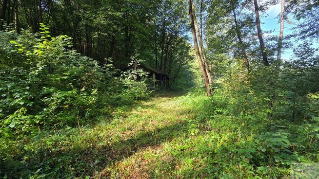 Działka budowlana Zdów gm. Włodowice, Źródlana
