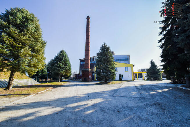 Lokal użytkowy Parczew,