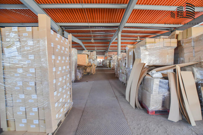 Lokal użytkowy Parczew,