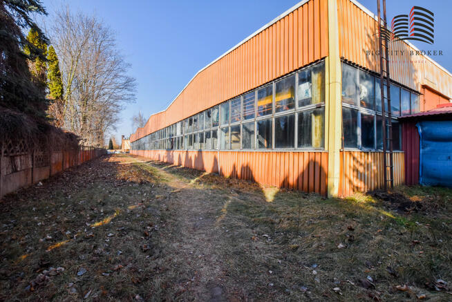 Lokal użytkowy Parczew,