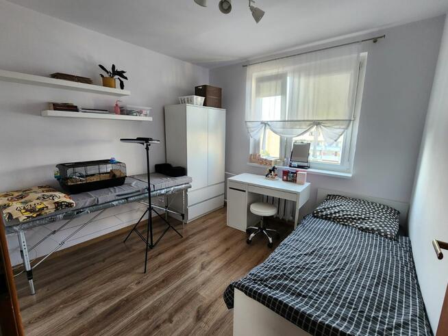 Mieszkanie Świdnica,