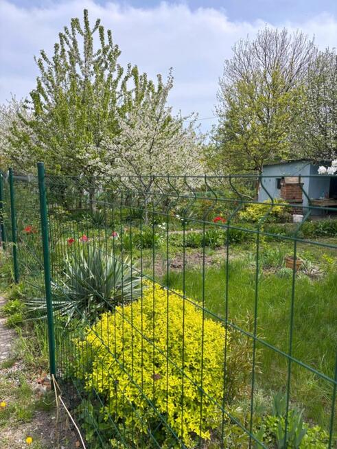 Działka rekreacyjna Legnica,