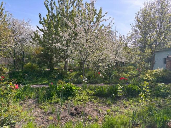 Działka rekreacyjna Legnica,