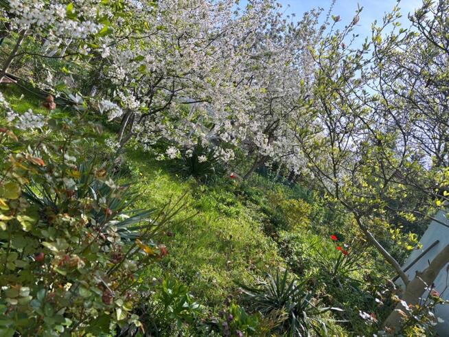 Działka rekreacyjna Legnica,