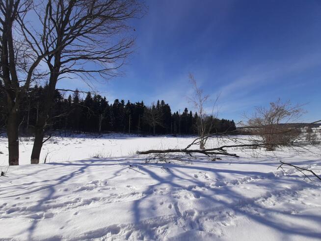 Działka rekreacyjna Leśniówka gm. Chorkówka,
