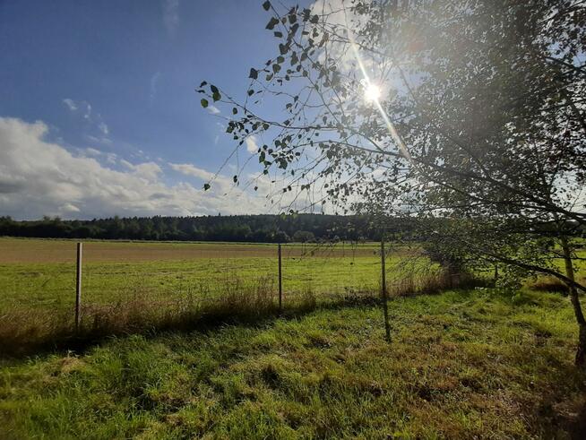 Działka rekreacyjna Leśniówka gm. Chorkówka,