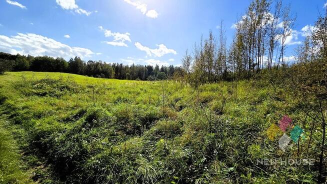 Działka z widokiem na las