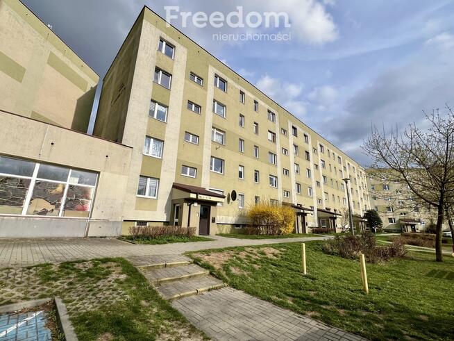 Jasne i przestronne mieszkanie z widokiem