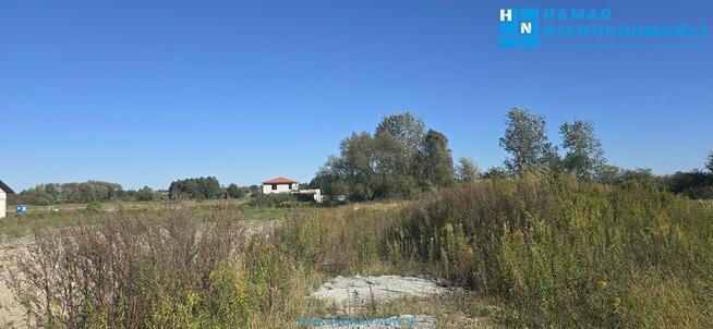 Falenty Nowe, okolica nowych domów