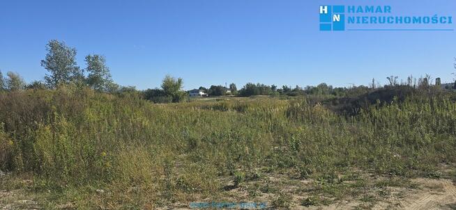 Falenty Nowe, okolica nowych domów