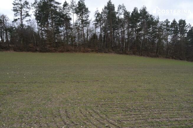 Działka rekreacyjna Chrztowo gm. Liniewo