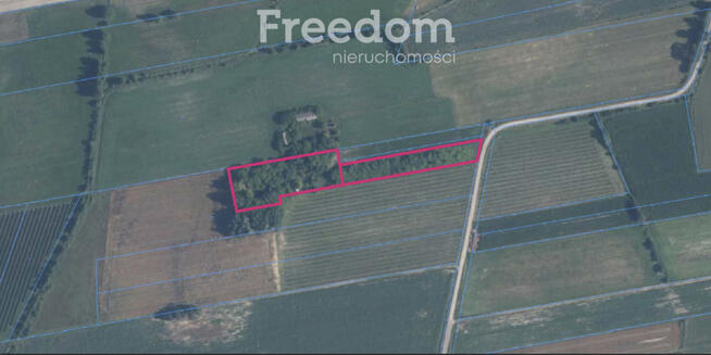 Działka siedliskowa z polem
