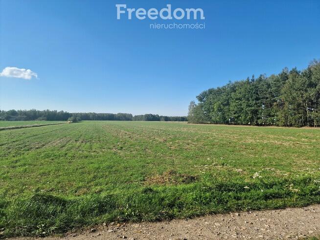 Siedlisko z potencjałem-dom i grunty rolne ok. 5 h