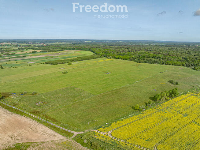 Kompleks trzech dużych działek rolnych 19,64 ha