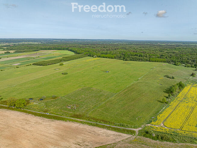 Kompleks trzech dużych działek rolnych 19,64 ha