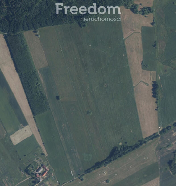 Kompleks trzech dużych działek rolnych 19,64 ha