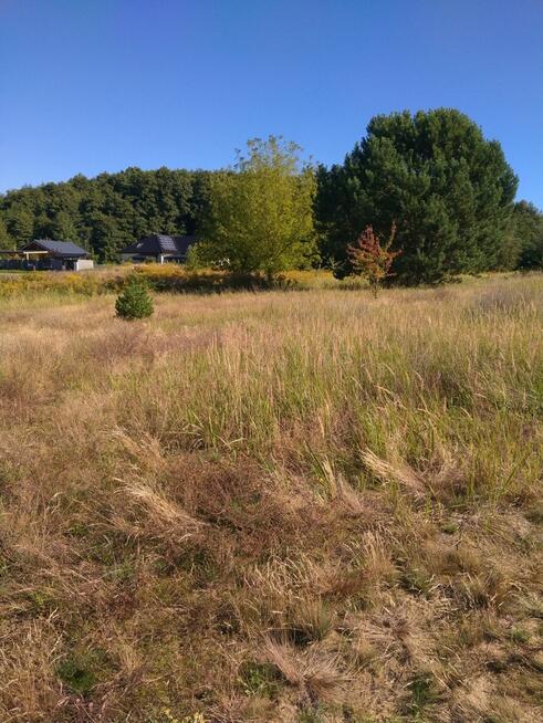 Działka budowlana 2001m2,Pilchowo,plan,media,las.