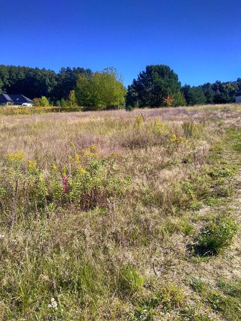 Działka budowlana 2001m2,Pilchowo,plan,media,las.