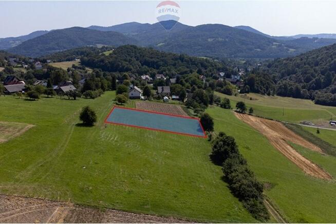 Grunty 5 400 m² – widok, las i działka z WZ