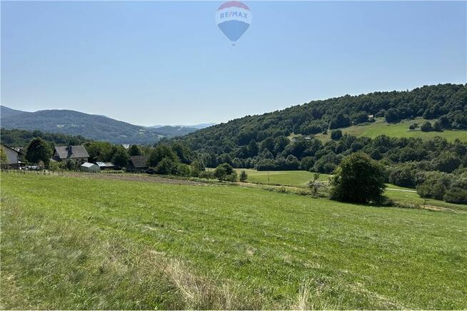 Grunty 5 400 m² – widok, las i działka z WZ